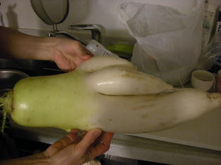 DSCN5128.JPG