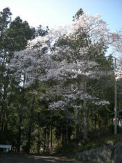 DSCN5722.JPG