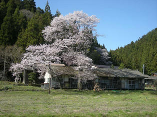 DSCN5726.JPG