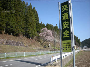 DSCN5736.JPG