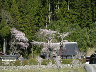 DSCN5748.JPG
