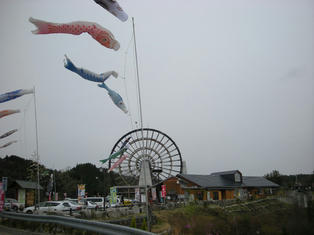DSCN5750.JPG