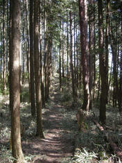 DSCN5821.JPG