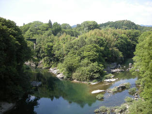 DSCN6100.JPG