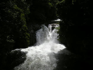 DSCN6354.JPG
