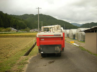 73.JPG