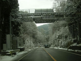 DSCN7314.JPG