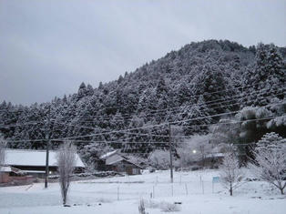 DSCN7351.JPG
