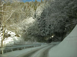 DSCN7397.JPG