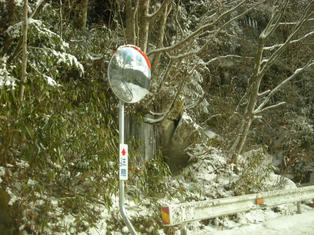 DSCN7398.JPG