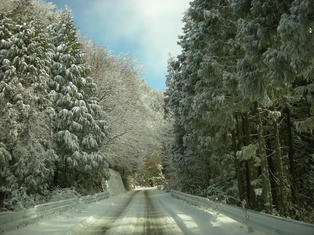 DSCN7402.JPG