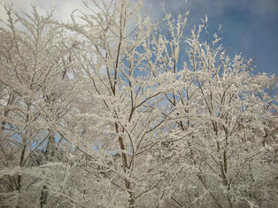 DSCN7420.JPG