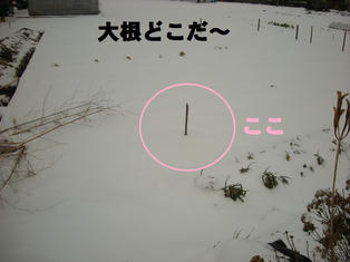 DSCN7701_147.JPG