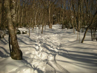DSCN7706_152.JPG