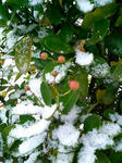 081120_083214.JPG