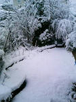 2008年12月22日　雪
