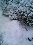 081222_080031.JPG