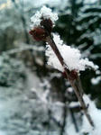 090302_065631.JPG