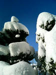 雪おばけみたいな木