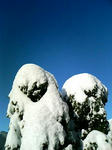 青空と白い雪