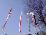 P1000005.jpg