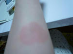 P1000014.5.JPG