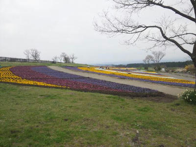 DSC_0118.JPG