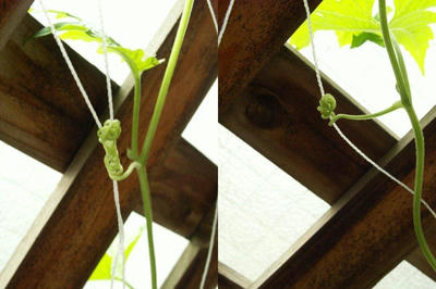 PICT0032.jpg