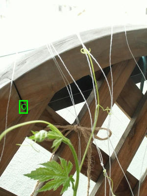 PICT0042.jpg