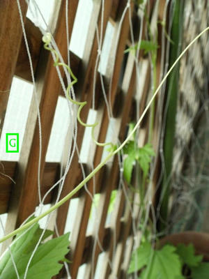 PICT0048.jpg