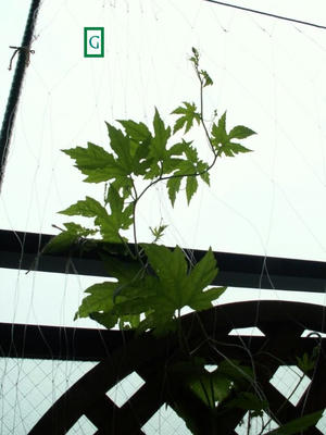 PICT0052.jpg