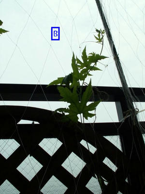 PICT0053.jpg