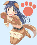 chihayadog.jpg