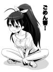 hibikigomen.jpg