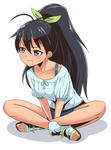 hibikigomenn.jpg