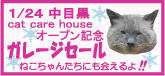 中目黒猫の保護施設＆ショップ「cat care house」オープン