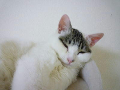 P1050350.JPG