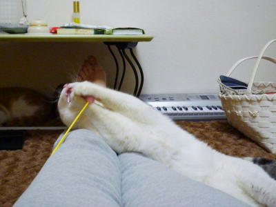 P1050476.JPG