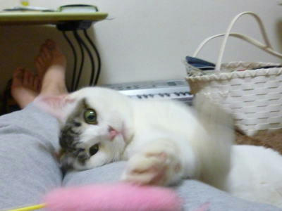 P1050482.JPG