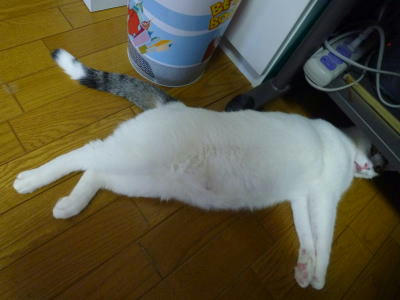 ごまだれ