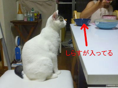 お薬を減らしていきます