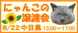 猫の譲渡会（里親会）