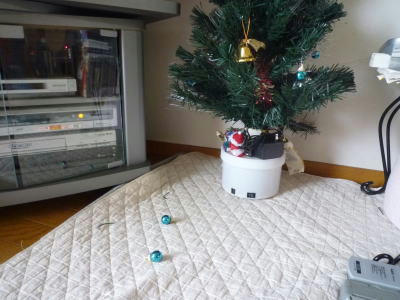 2010121802.jpg