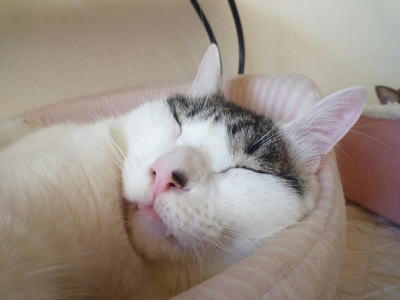 2010122206.jpg