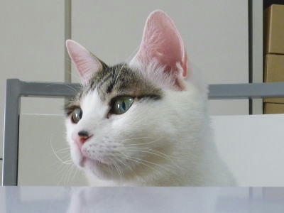 2010122402.jpg