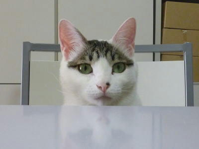 2010122403.jpg