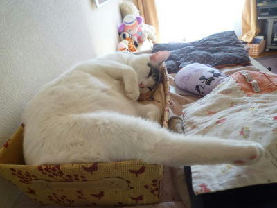 2011011509.jpg