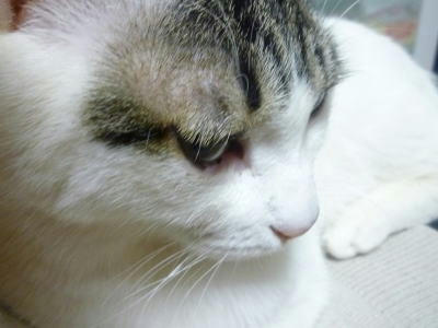 2011011802.jpg