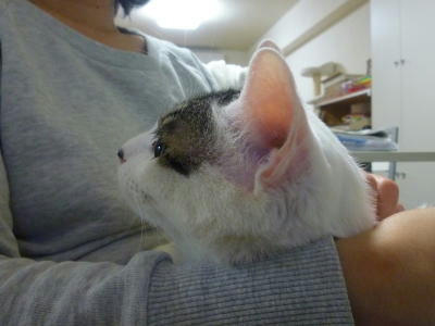 2011012505.jpg