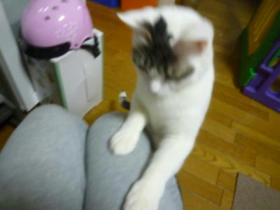 2011012506.jpg